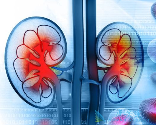 肾癌转移 肾癌转移