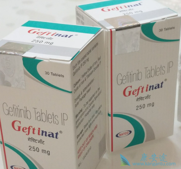 易瑞沙说明书 易瑞沙说明书