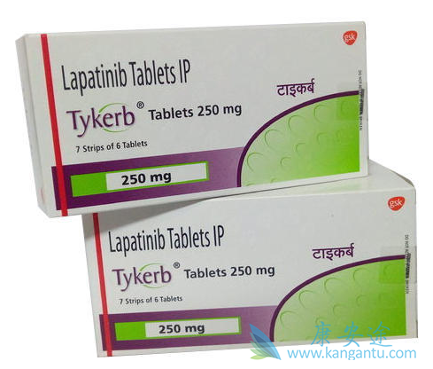 拉帕替尼 拉帕替尼