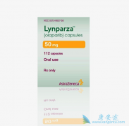 PARP���Ƽ���������(Lynparza��δ���ٴ�Ӧ��ǰ��ʮ�ֹ���