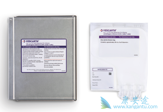 CAR-T细胞疗法 CAR-T细胞疗法