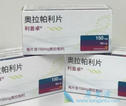 PARP抑制剂 PARP抑制剂