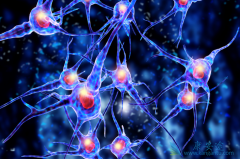 ���������ϸ�������߳���Ī��Ҫע��ʲô���⣿