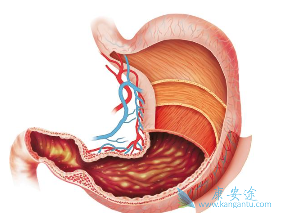 尼妥珠单抗 尼妥珠单抗