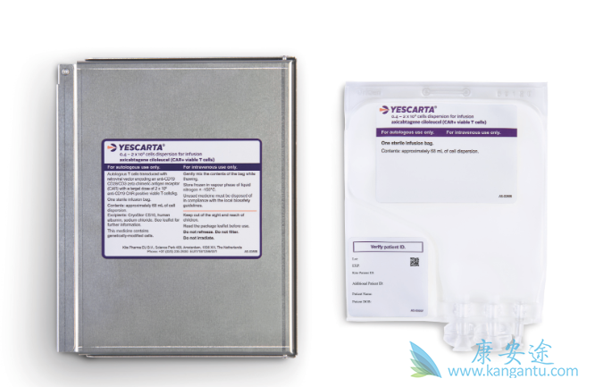 CAR-T细胞 CAR-T细胞