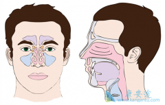 ���ڱ��ʰ�����ʴ󲻴���ҪӰ����������Щ��