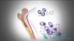 �෢�Թ����������Ʒ�������Щ��