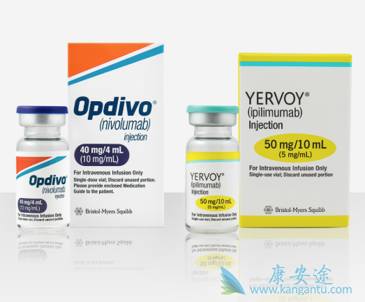 PD-1药物 PD-1药物