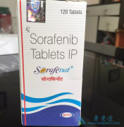 ӡ�ȶ༪�������湺ҩ;��������������