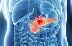 �������ٰ������ü��������������