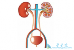 ���°��װ��ĸ����ʾӸ߲��µ�ԭ����ʲô��