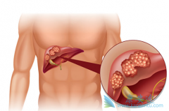 �ð�������ҩ���ַ�����ΰ����κ���