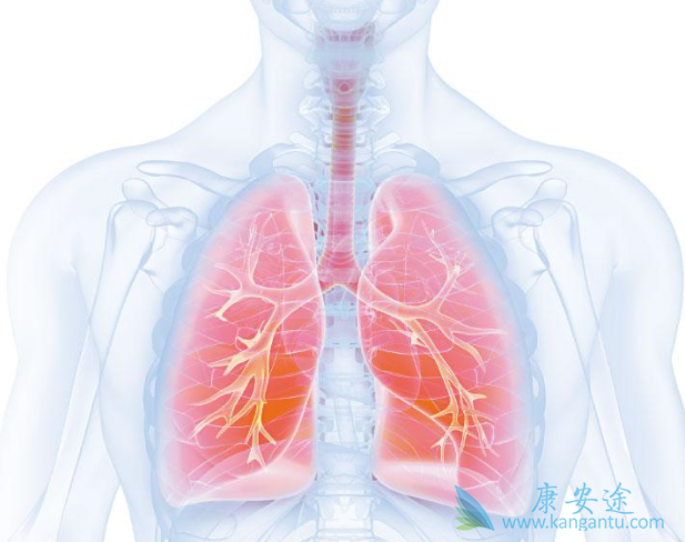 肺癌病人吃什么 肺癌病人吃什么