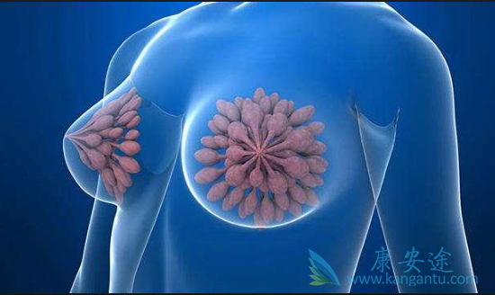 乳腺癌内分泌治疗 乳腺癌内分泌治疗