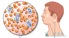 �ǻ�����ܰ������Ʒ�������Щ����Ч�ֱ���Σ�