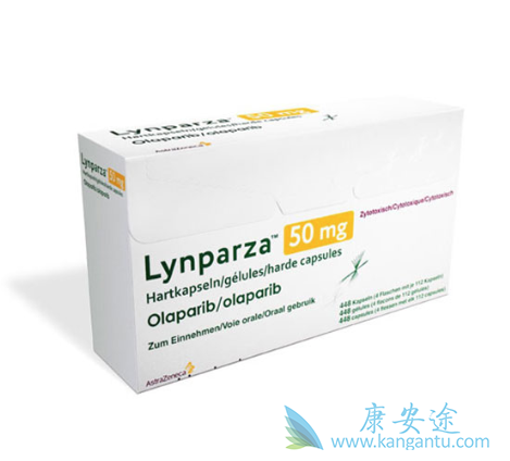 卵巢癌患者 卵巢癌患者