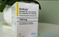 T-DM1�ɽ��������ٰ��������ս���50%