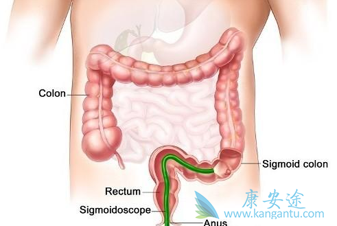 靶向治疗药物 靶向治疗药物