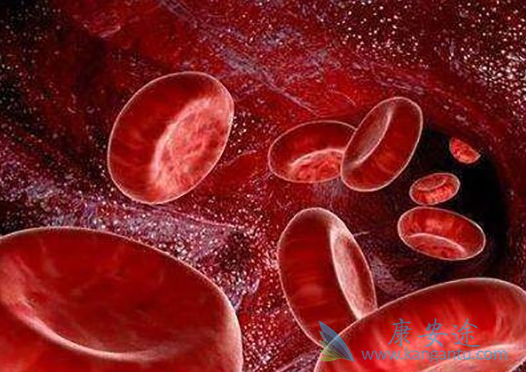 白血病的治疗 白血病的治疗