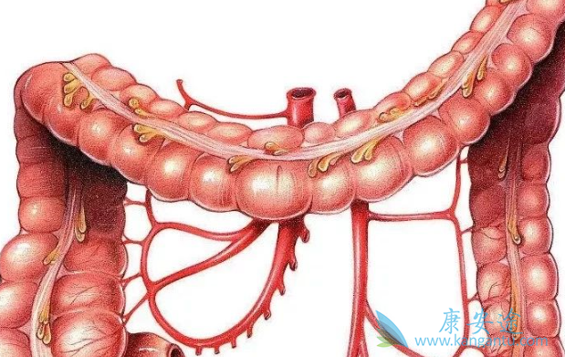 癌细胞转移 癌细胞转移