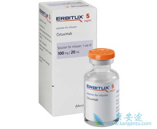 西妥昔单抗 西妥昔单抗