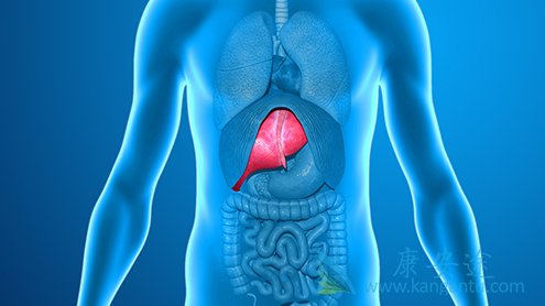 丙肝的症状有哪些 丙肝的症状有哪些