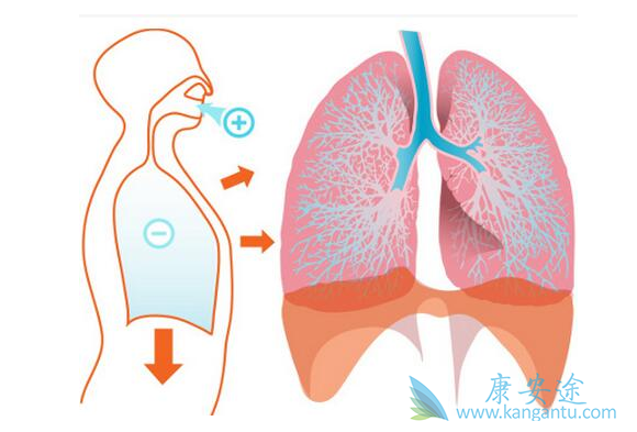 间质性肺炎 间质性肺炎