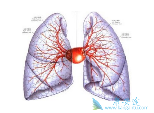 间质性肺炎 间质性肺炎