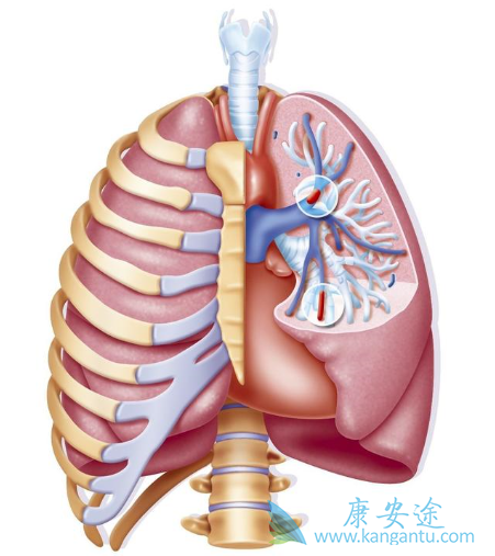 肺动脉高压症状 肺动脉高压症状