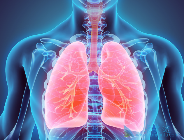 非小细胞肺癌 非小细胞肺癌