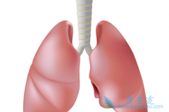 ������������ramucirumab���ӳ��ΰ��۰����ߵ�������