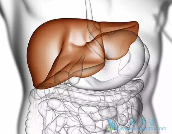 肝硬化治疗 肝硬化治疗
