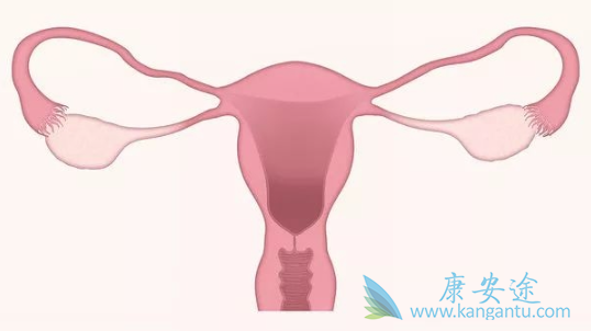 宫颈鳞癌 宫颈鳞癌