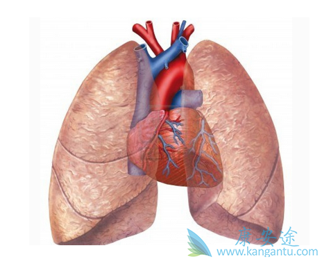 肺动脉高压 肺动脉高压