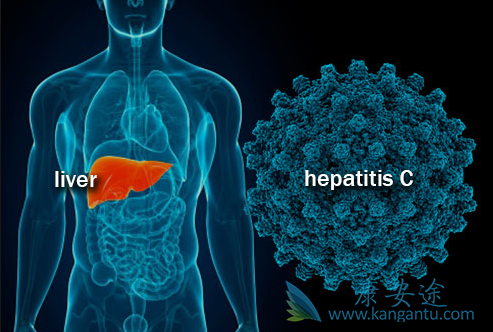 丙肝 丙肝