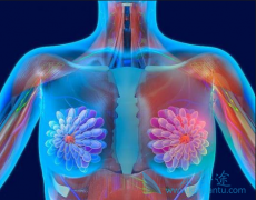 ���ٰ����Ƶļ���Ӧ�ñ�׼���Ǿ�׼��