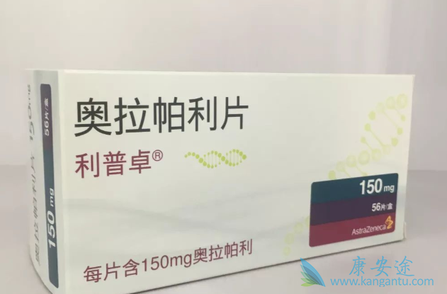 PARP抑制剂 PARP抑制剂