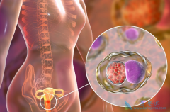 �����۰����ߵ�����Ԥ�������������͵Ĺ���������