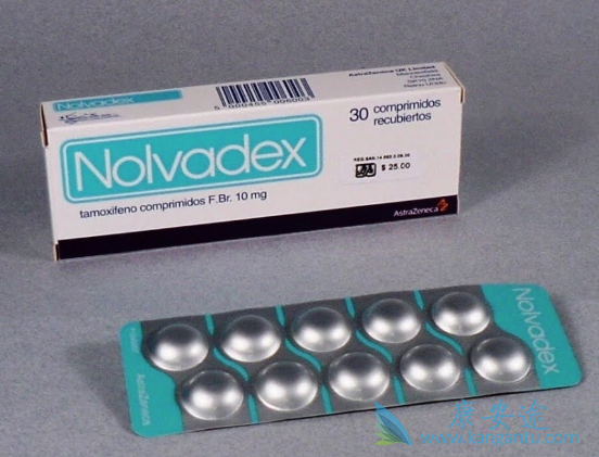 他莫昔芬 他莫昔芬