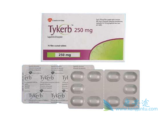 拉帕替尼 拉帕替尼