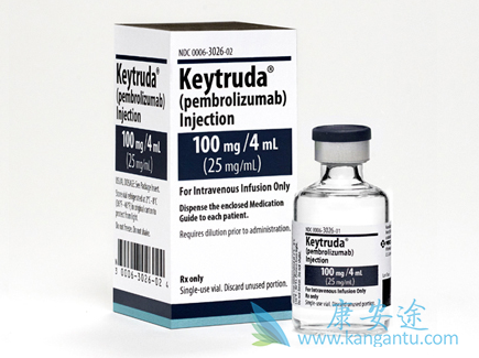 PDL1表达 PDL1表达