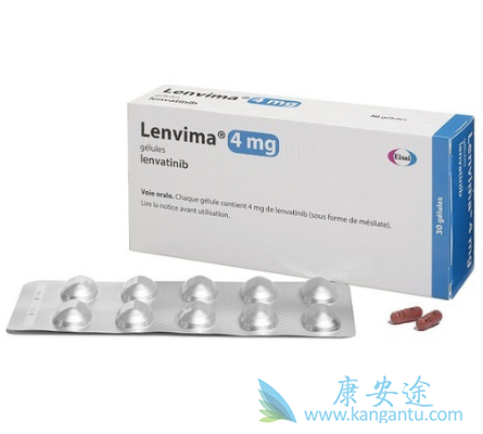 �ط�����