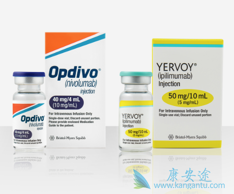 CTLA-4抑制剂 CTLA-4抑制剂
