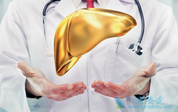 乙型肝炎 乙型肝炎