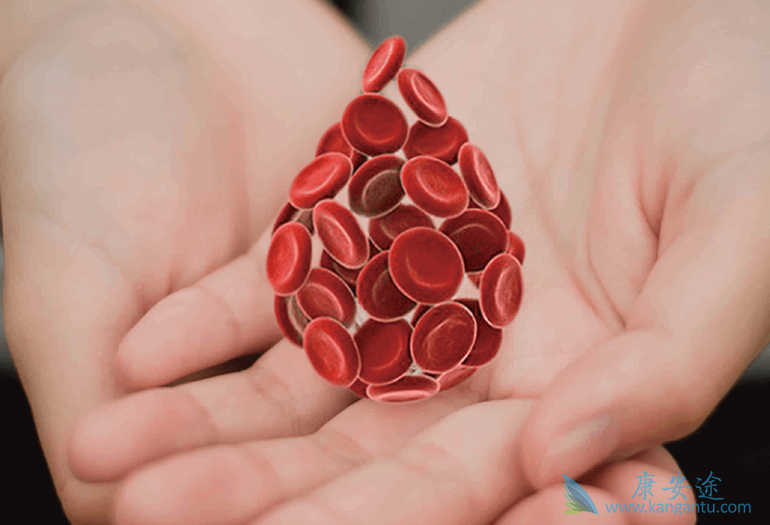 白血病早期症状有哪些 白血病早期症状有哪些