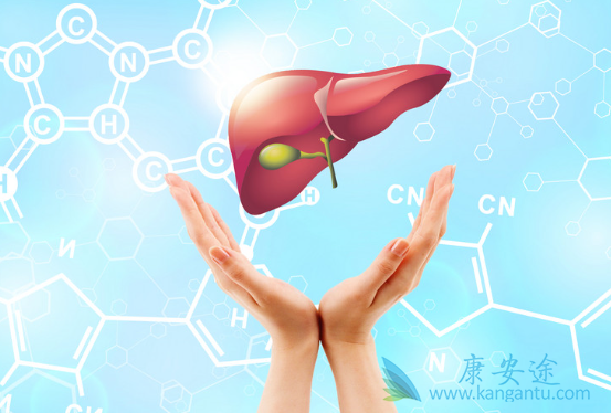 丙肝抗体 丙肝抗体