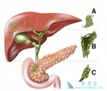 ��ɼ���Ӽ���������������Ϊ���ڵ��ܰ����������