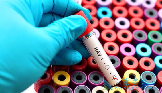 乙肝抗体 乙肝抗体