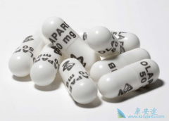 ��������(Olaparib)�Ը������ѳ����������ų־���Ч