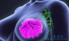 ��Ī���ҿɽ������ٰ��������󸴷���ת��